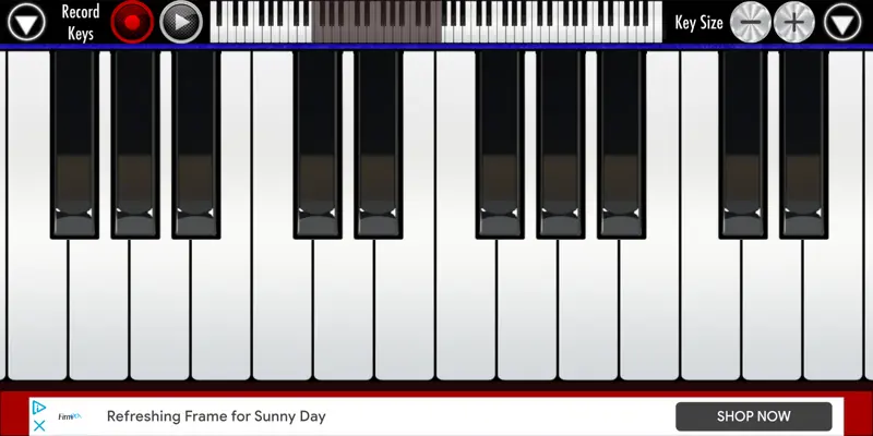 Real Piano android App screenshot 3